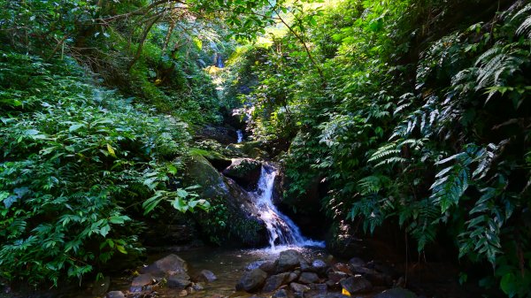 大尖山瀑布2932167