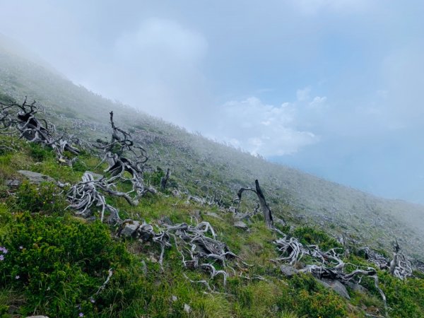 逆走雪山西稜下志佳陽1041250