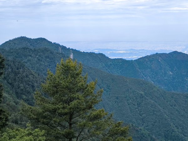 2026-05-23 小雪山防火巷、拾丸山南峰3062344