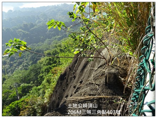 土地公崎頂山(嘉義-番路)1573449