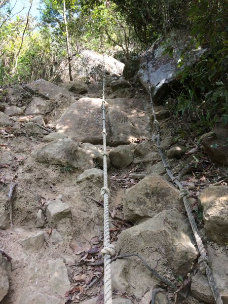 梅峰古道&獵鷹尖一線天&伍龍步道316726