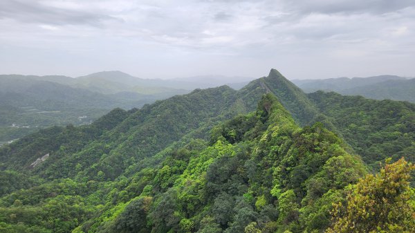 峰頭尖~峰頭尖東峰2761371