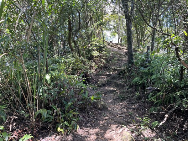 [微笑山線_第九段] 2025_0914 二格山系_天王峰2889633