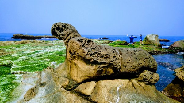 東北角海邊549554