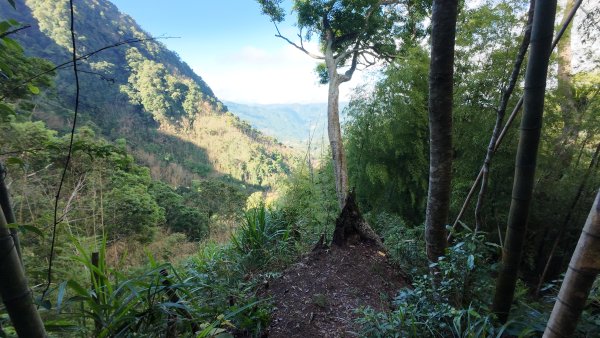 阿里山頂湖三連峰:天福山、芙蓉山、凸龜山2810084
