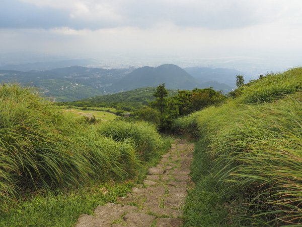 [台北]七星山主、東峰2031462