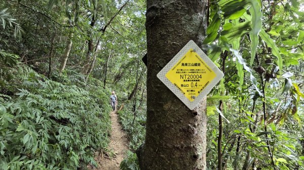 風和日麗來去烏來三山享受森林芬多精2984338