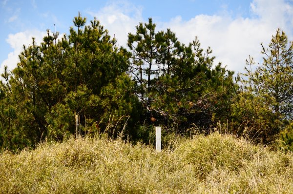 武法奈尾山天巒池872495