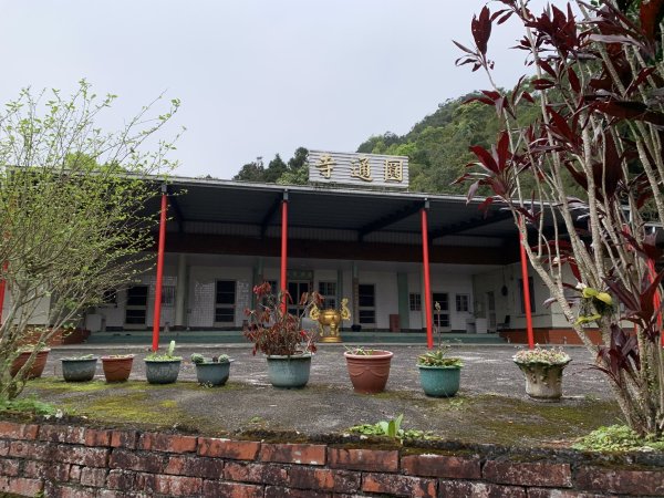 鵲子山（宜蘭礁溪）（小百岳）2530111