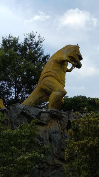 2020 7/11 石門山1029630