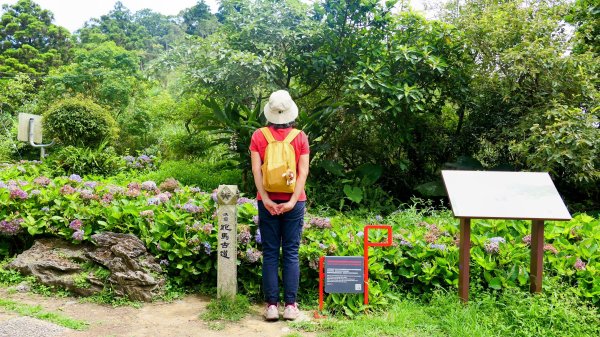 四堵溪畔古道2822096