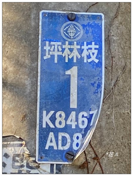 雨後頭縱走 (日月潭)2694387