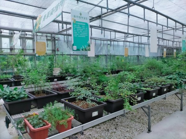 內雙溪自然中心步道(台北小溪頭2812131