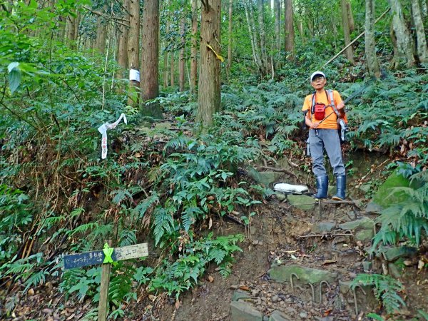 大雪山大崠山避暑趣2019/7/21634423