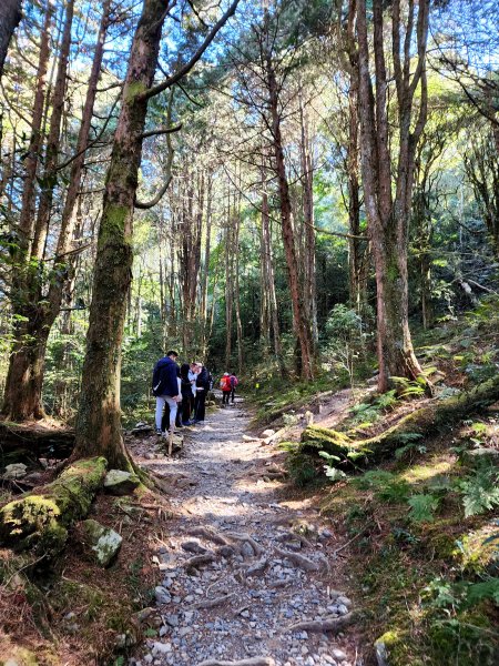 小百岳集起來-稍來山2181428