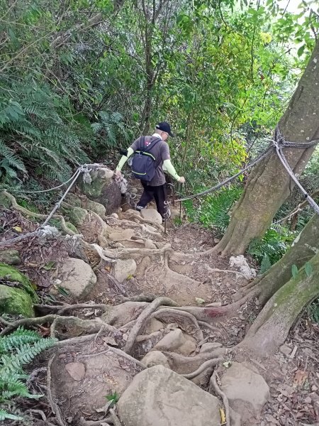 《桃園溪洲山、新溪洲山-原始幽靜、土石紛陳》【小百岳集起來】 #23 溪洲山步道(福山巖登山步道)1868612