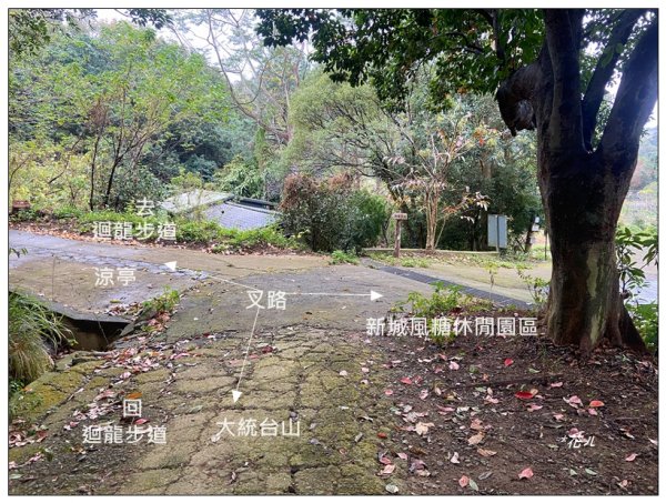 寶山迴龍步道、大統台山2705050