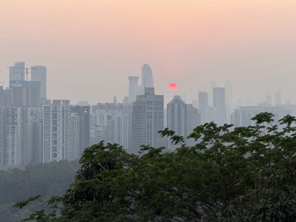 [茂名馬之行-12] 2026_0119 蓮花山公園封面