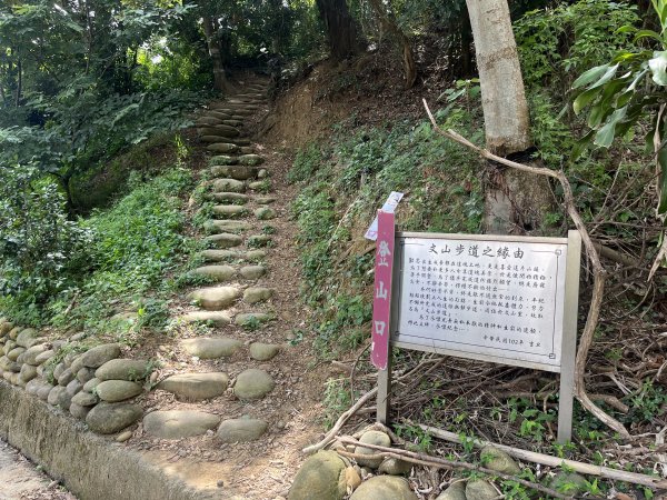 [皮皮獅探險隊-03/10] 2025_0706 犁頭山、文山步道2831463