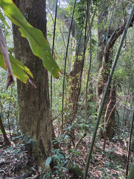 2024.02.17 關西金山2845322