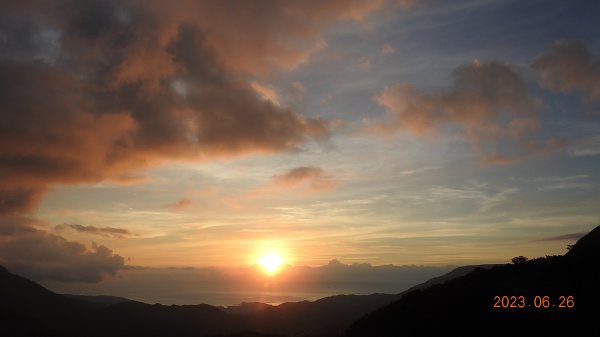 雲山水花鳥蝶 - 天龍國阿伯的日常 6/262195480