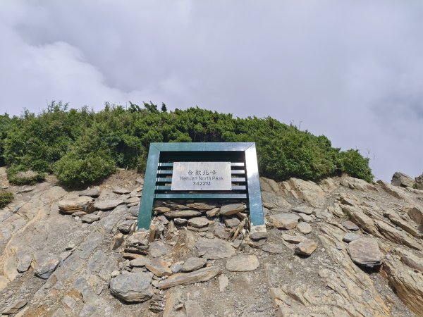 南投/花蓮-合歡北峰3053834