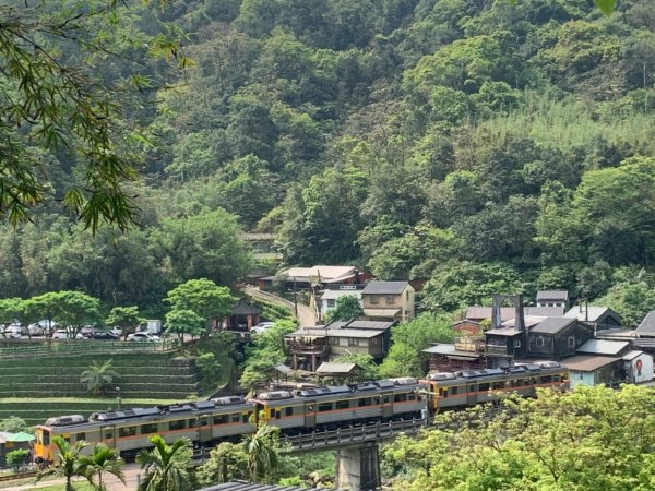 三貂嶺瀑布步道1335268