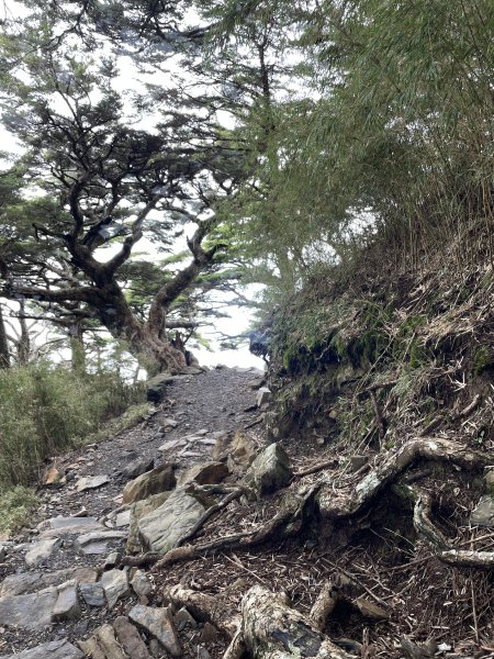 玉山主北 2025 06/07 兩天一夜2866147