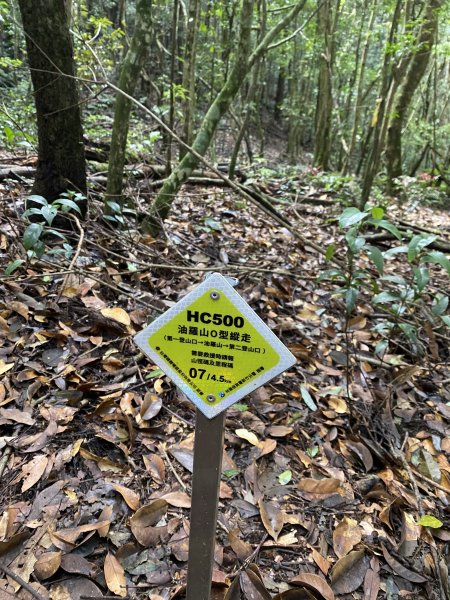 20250713-Ep.09油羅山步道-2025森遊竹縣皮皮獅探險隊2851883