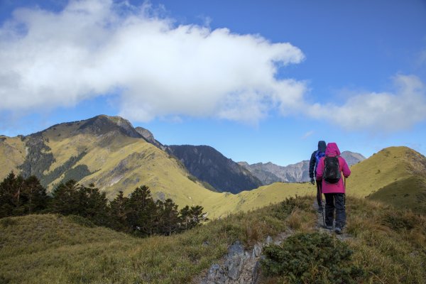 大小劍-油婆蘭全紀錄2674232