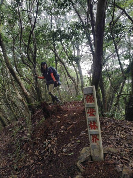 大混李棟重訓2883597