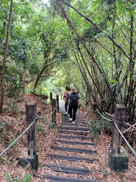 【台中潭子】爬山野餐趣。 新田登山步道x聚興山2899205