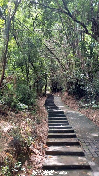 【南投草屯】蝴蝶紛飛可惜抵擋不了低海拔蚊子攻擊。 虎山步道x中興新村2856634