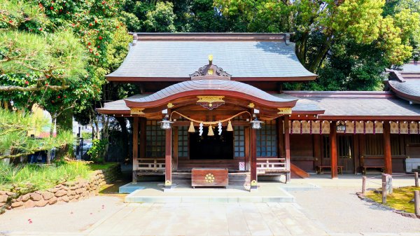 熊本水前寺成趣園,熊本城3028441