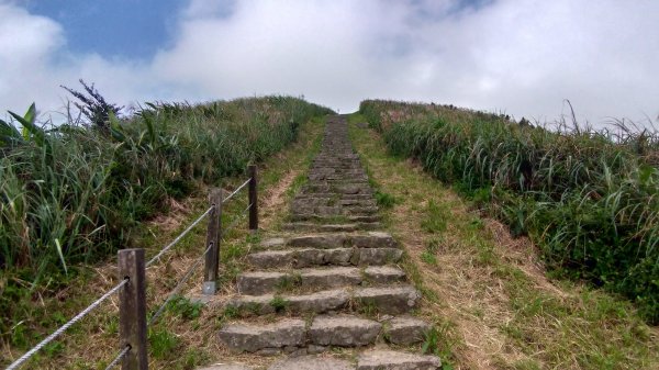 基隆山登山步道591979