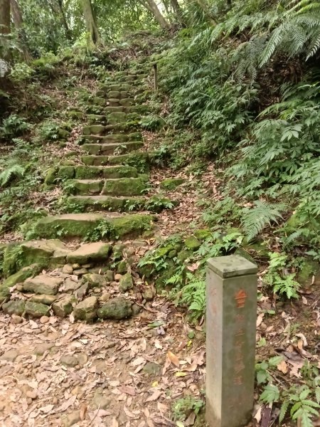 基隆市荖寮坑古道+十分古道(暖東舊道)+頂子寮山(嶺頭土地公)P字走2821561