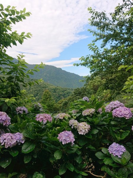 威赫山、多崖山、北插天山O走1746696