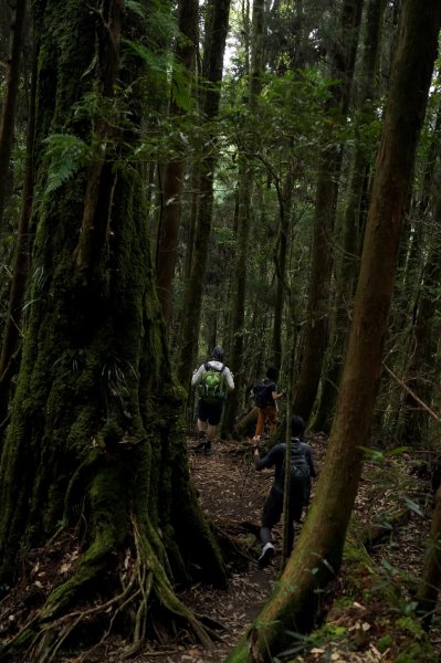 2022.09.20 留龍頭、忘憂森林、嶺頭山 輕鬆走走1850657