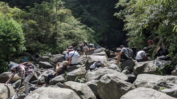 蝴蝶谷瀑布步道｜唐麻丹山登山步道 (松鶴部落上)1900077