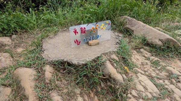 114.09.14青龍嶺-秋壇山-鎮遠山-大青坑崙-三角埔頂山之旅(二)2884576