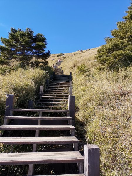 合歡山東峰1297551