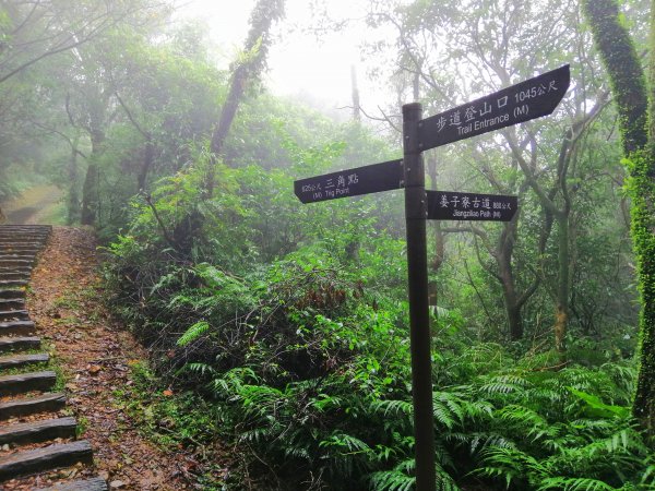 基隆七堵~雨霧中散步。 #小百岳姜子寮山867755