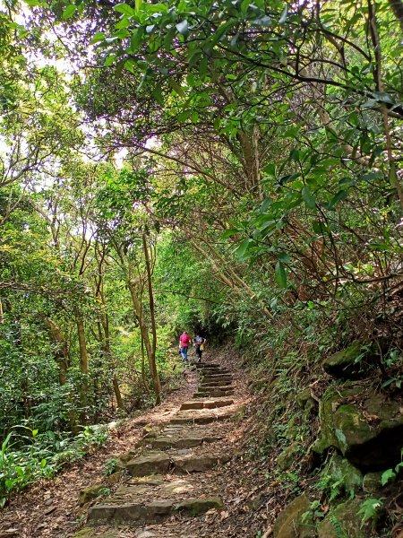 陽明醫院舊址、陽明山前山公園、紗帽山步道、紗帽路、臺北市教師研習中心【走遍陽明山】2121944