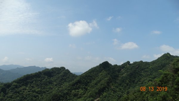 台灣原生種  - 艷紅鹿子百合650423
