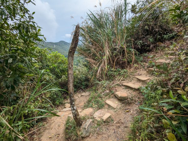 2024-03-31 金面山親山步道、剪刀石、象山親山步道2793320