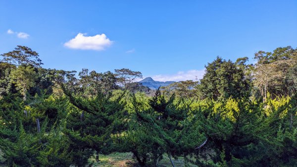 月扇湖山大岩壁,楓紅,落羽松2375346