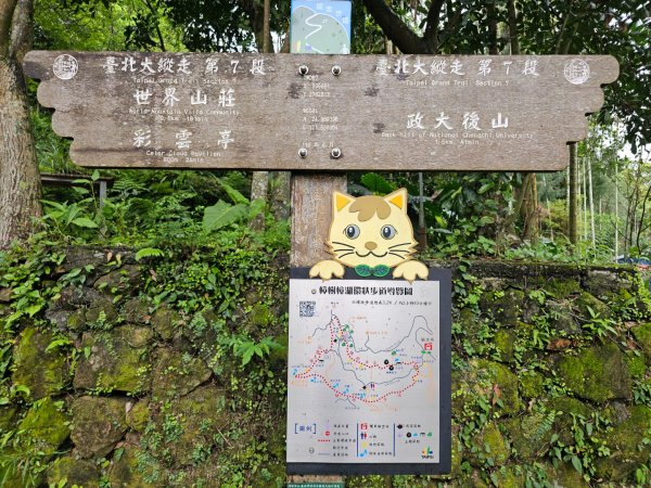 2026年臺北大縱走第七段：世界山莊至飛龍步道政大後山3032038