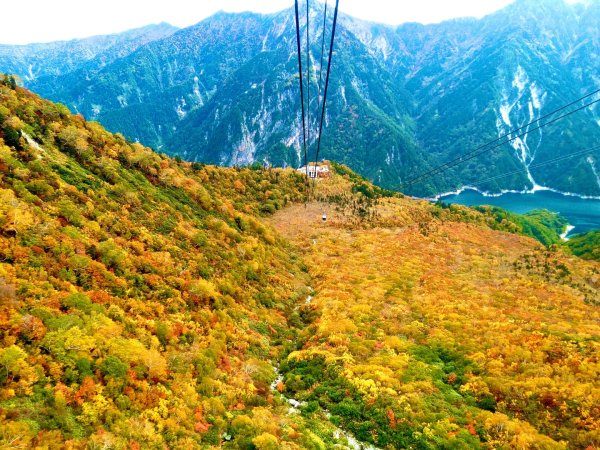 黑部立山秋行2933328