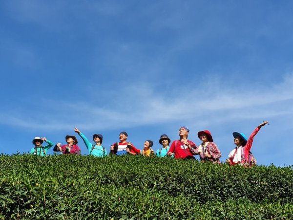 【雲嘉茶園之美】後棟山連走大二尖山1532212