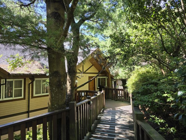 [皮皮獅探險隊-09/10] 2025_0816 野馬瞰山步道2862666